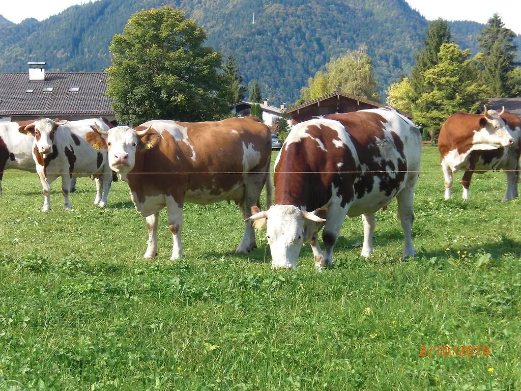 Familien-Bauernhof-Berghammer Rottach-Egern 0*,  Germany